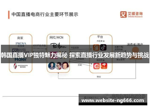 韩国直播VIP独特魅力揭秘 探索直播行业发展新趋势与挑战